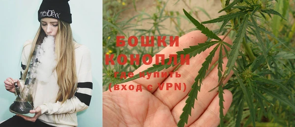 мяу мяу мука Карталы