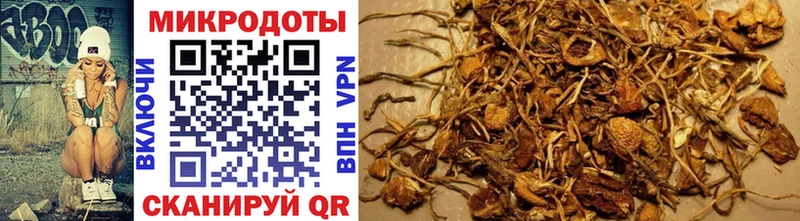 Галлюциногенные грибы Psilocybe Тарко-Сале