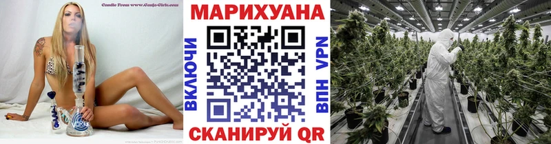 Канабис марихуана Тарко-Сале